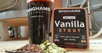 Bingham's Vanilla Stout