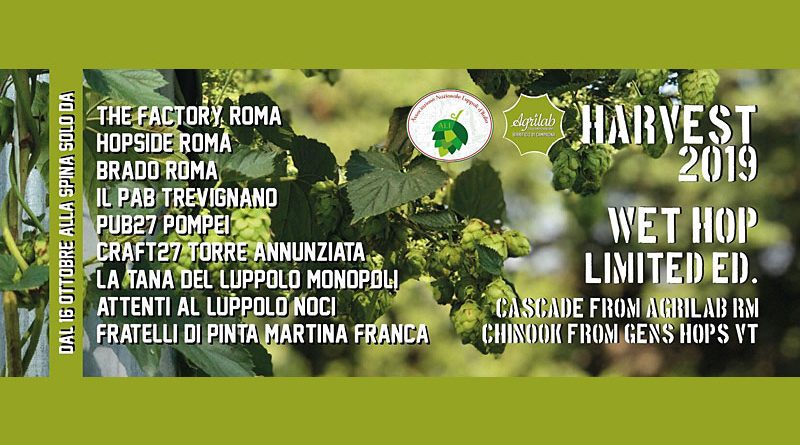 Esce la Harvest 2019 con luppoli dei soci dell’Associazione ALI produttori di luppolo italiani