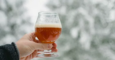 Bicchiere di birra su sfondo con la neve: birra in inverno